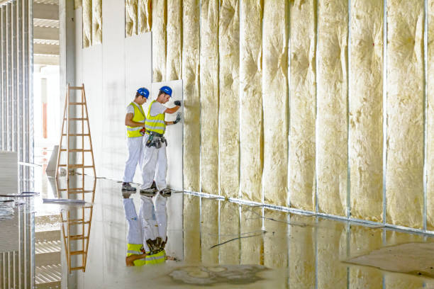 Best Cellulose Insulation in Lakeway, TX